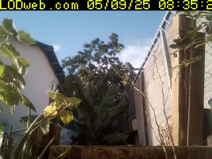 2025-05-09