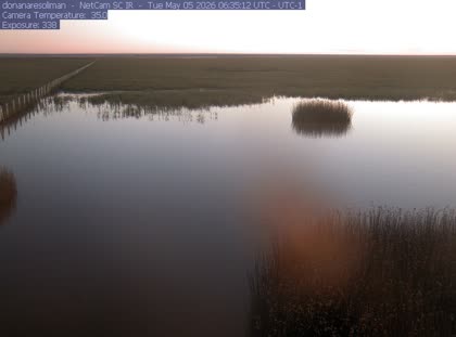 2026-05-05