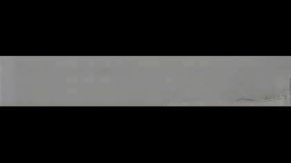 2025-07-29