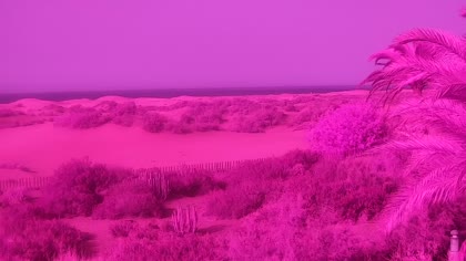 2026-08-04