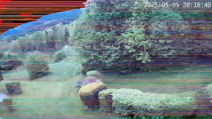 2025-05-06