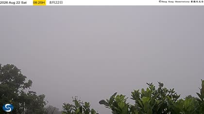 2026-08-22