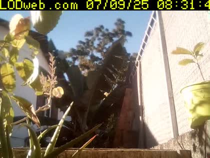 2025-07-09