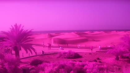 2026-06-05