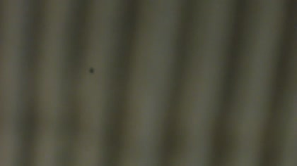 2026-06-12