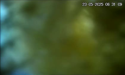 2025-05-23