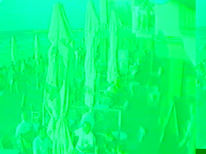2025-07-29