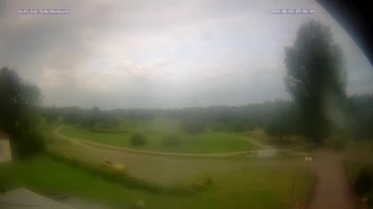 2025-08-03