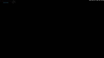2025-04-29
