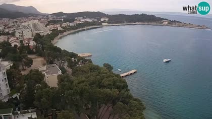 2026-05-12
