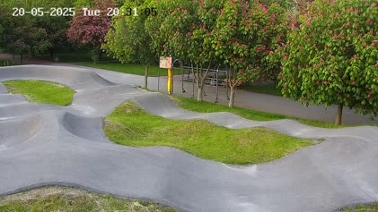 2025-05-20