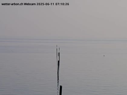 2025-06-11