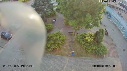 2025-07-25