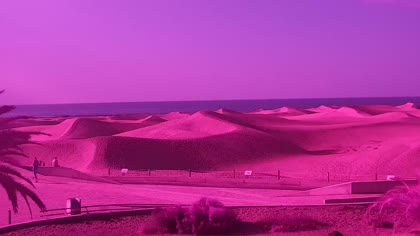 2025-08-02