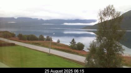 2025-08-25