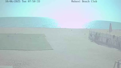 2025-06-10