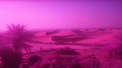 2026-09-17