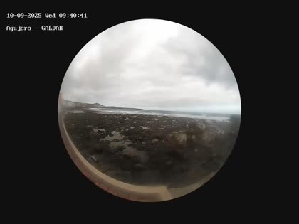 2025-09-10