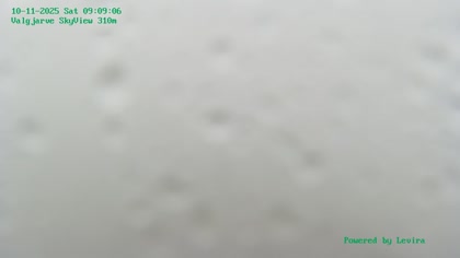 2025-10-11