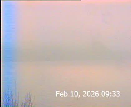 2026-02-10
