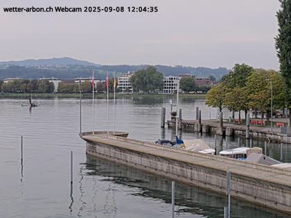 2025-09-08