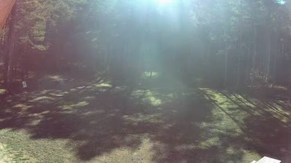 2025-10-08