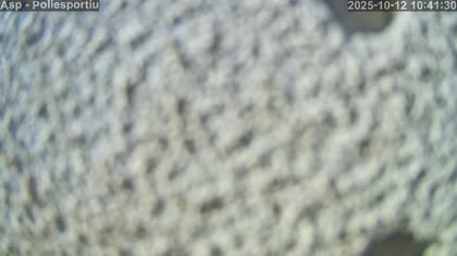 2025-10-12