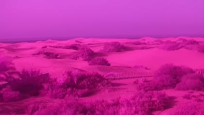 2025-07-27
