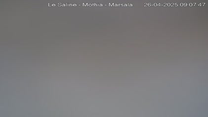 2025-04-26