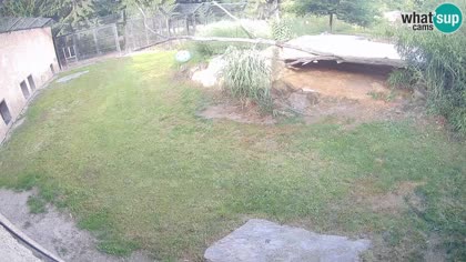 2026-06-12