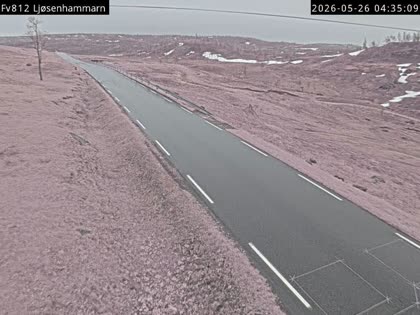 2026-05-26