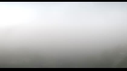 2025-07-24