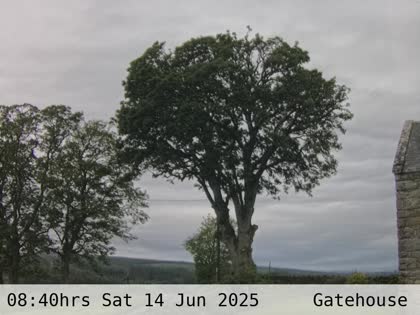 2025-06-14