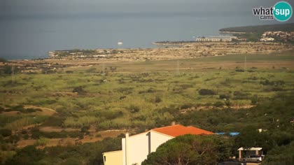 2026-08-31