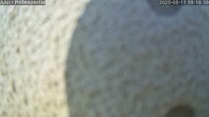 2025-08-11