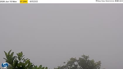 2026-06-15