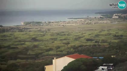 2026-10-10