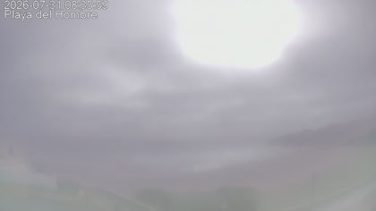 2026-07-31