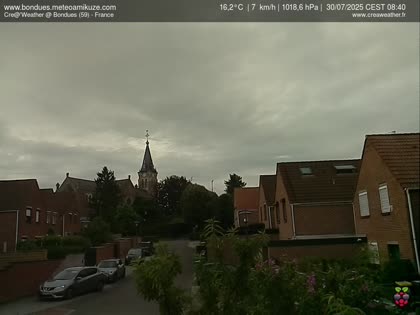 2025-07-30