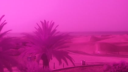 2026-06-30