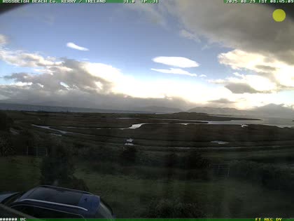 2025-08-29