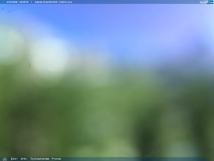 2025-07-01