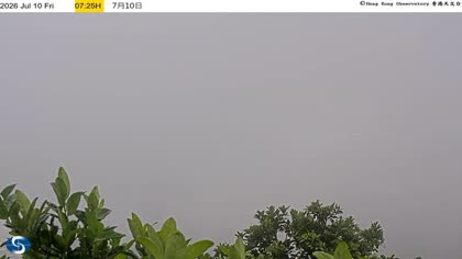 2026-07-10