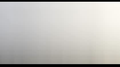 2025-08-05