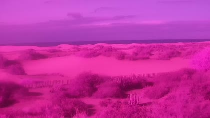 2026-08-23