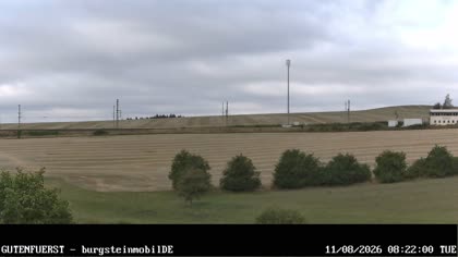2026-08-11