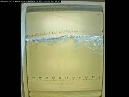 2025-07-04