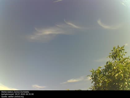 2026-07-29