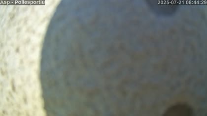 2025-07-21