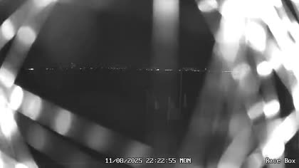 2025-08-12